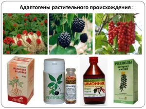 Что же могут адаптогены?