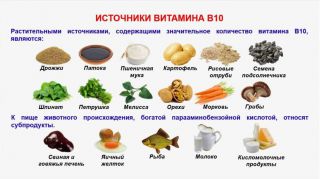 В10